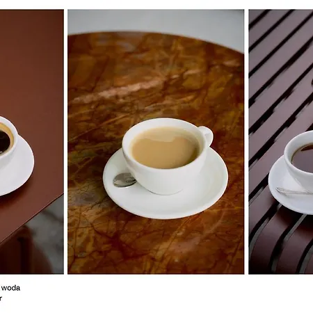 Elite Hamptons Old Town Διαμέρισμα Γκντανσκ